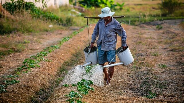 Promoción de las exportaciones en la agricultura
