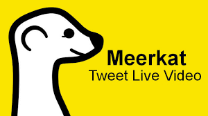 Meerkat