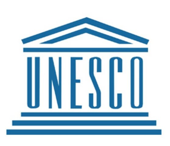 United Nations General Comment