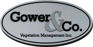 Primeras firmas extranjeras exportadoras de tabaco