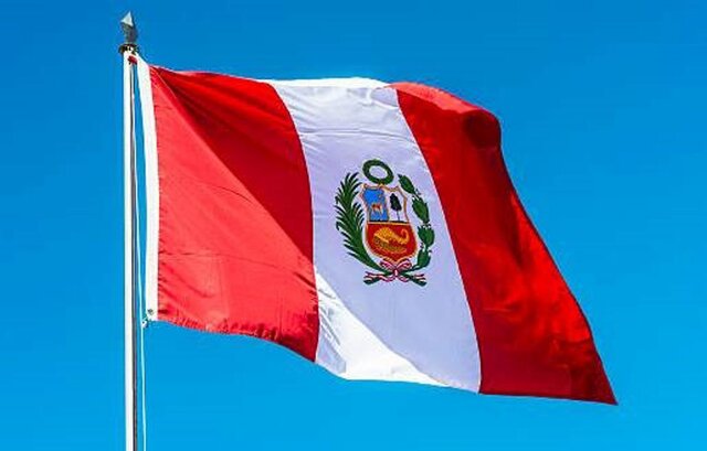 Perú La ley 29.733
