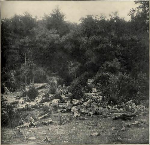 Battle of Little Round Top