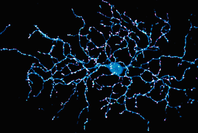 Marshall Research Corporation