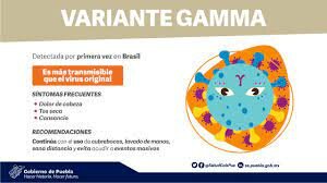 Gamma variante del SARS-COV-2