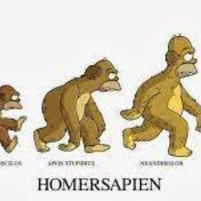 Timeline: Evolución del ser humano. X.C.G