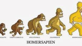 Timeline: Evolución del ser humano. X.C.G