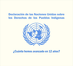 Declaración de las naciones unidas sobre los derechos de los pueblos indígenas.