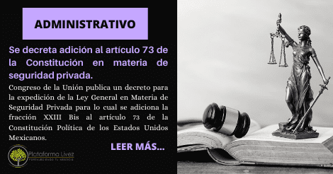 Artículo 73 de la Constitución