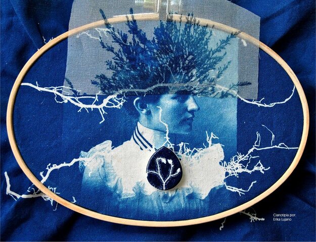 CREACIÓN DEL PROCEDIMIENTO CIANOTIPIA