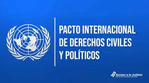 Art. 17 del Pacto Internacional de los Derechos Civiles y Políticos