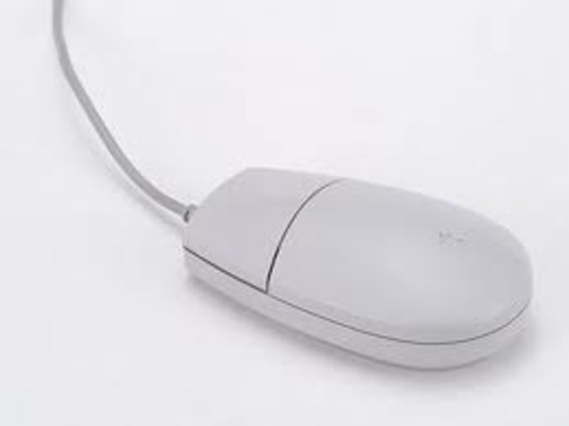Computer Mouse