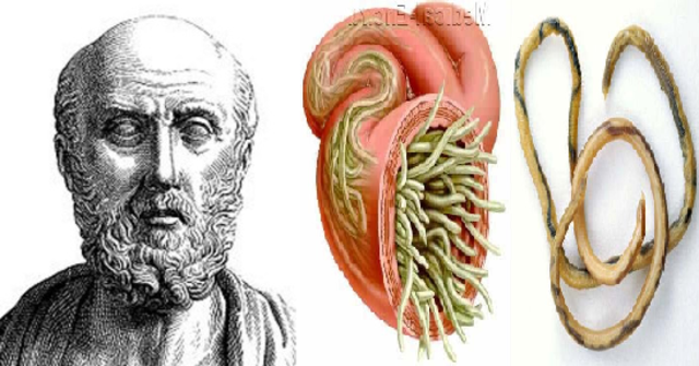 Hippocrates y los helmintos