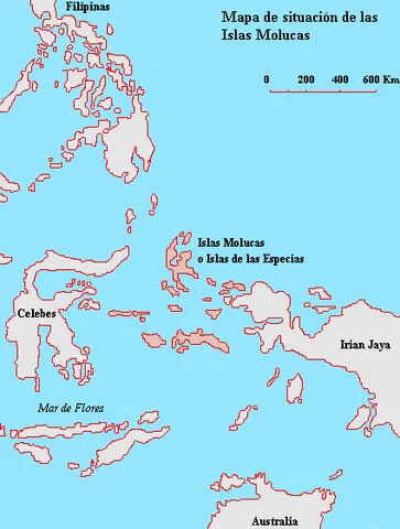 El Tratado de Zaragoza