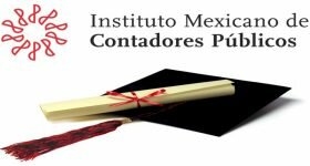 Organización formal de la profesión