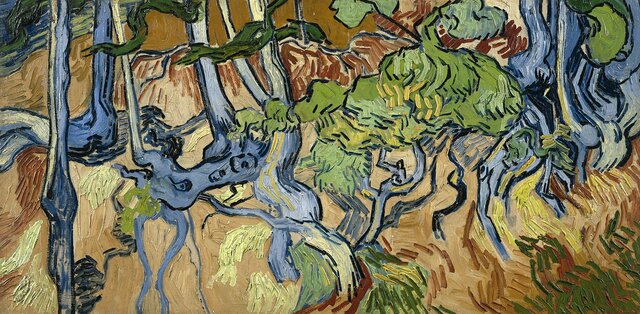 Radici e tronchi d'albero
