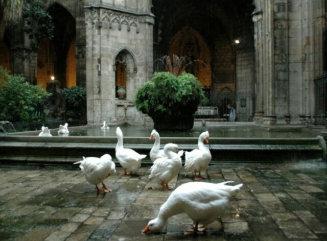 Catedral de Barcelona
