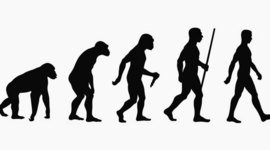 Timeline: El origen y la evolución de la vida