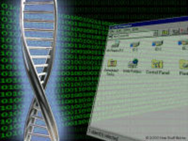 Computers that involve DNA