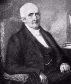 Aumento de la biomasa en las plantas - Aportación a la fotosíntesis