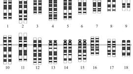 Timeline: Secuenciación del Genoma Humano