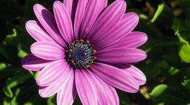 Timeline: Esta relación