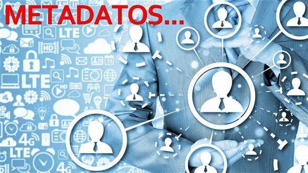 Metadatos