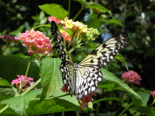 Victoria, British Columbia