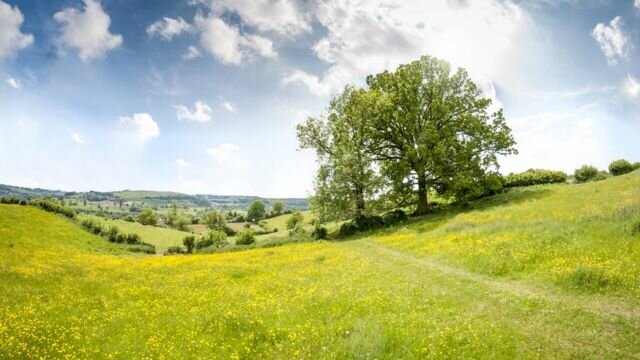 Día 3 de la Creación