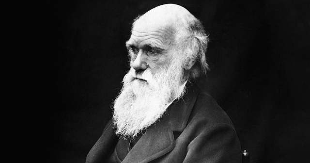 Teoria Evolucionista