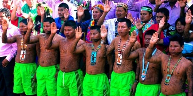 14. Licenciatura en Pedagogía de la Madre Tierra