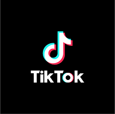 TikTok is Launched