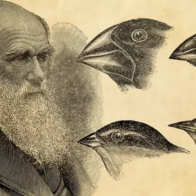 Timeline: Charles Darwin - 12 February 1809 - 19 April 1882