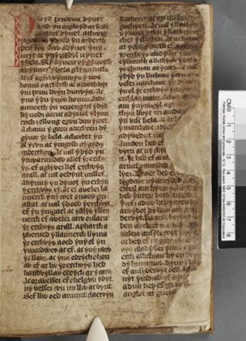 Libro Blanco de Rydderch