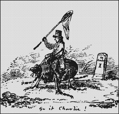 Darwin Attends Cambridge - Begins career as a Naturalist