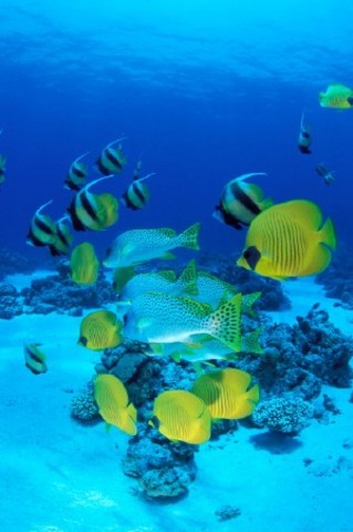 Convention sur le droit de la mer