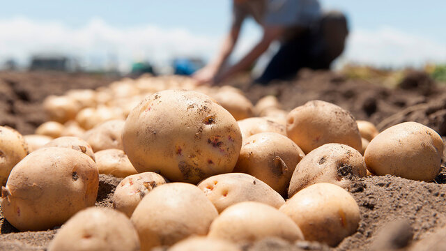 Marketing como disciplina.