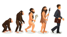 Timeline: La administración y tiempos antiguos