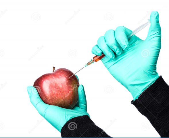 Biosíntesis de antocianinas en la manzana