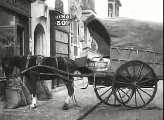 "The Horse that Bolted"