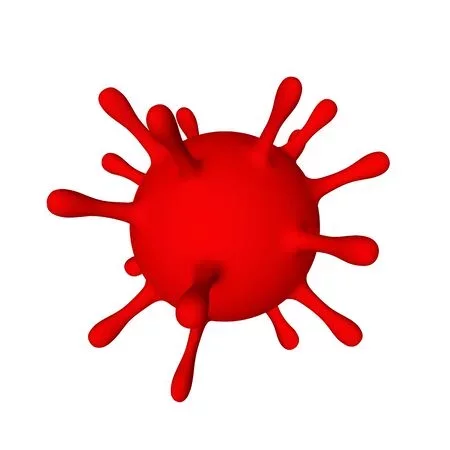 Tobacco Mosaic Virus