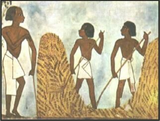 Comienzo de la práctica de agricultura y ganadería