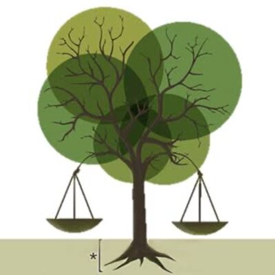 Timeline: LÍNEA DEL TIEMPO DERECHO AMBIENTAL: REFORMAS A LA CONSTITUCIÓN