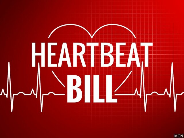 Heartbeat Bill