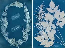 Primer llibre de fotografies