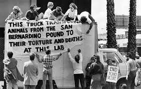 citizens began to reconize the importance of animal rights more.