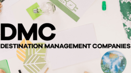 Timeline: Origen y antecedentes de los DMC