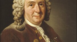 Timeline: Clasificación de Especies