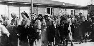 the courage to rescue