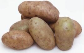 Desarrollo de la Papa Russet