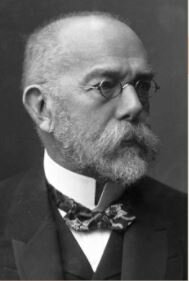 Se revela la causa del carbunco bacteridiano